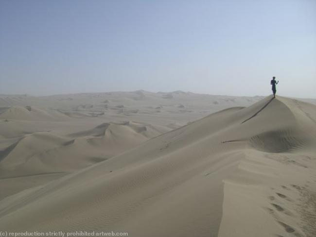 The dunes