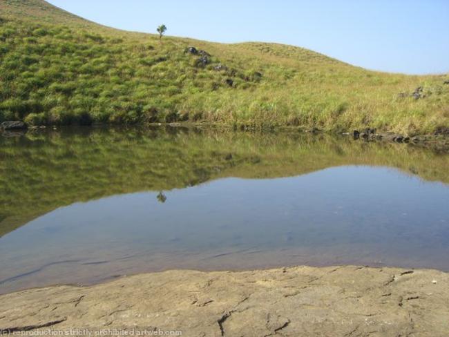 Indian reflections