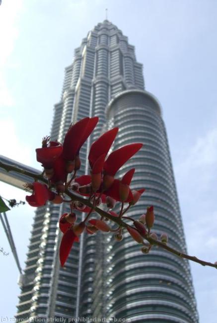 Petronas