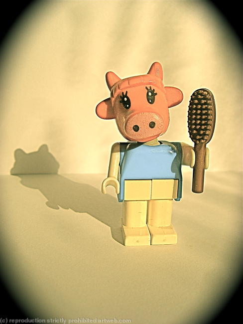 clara cow