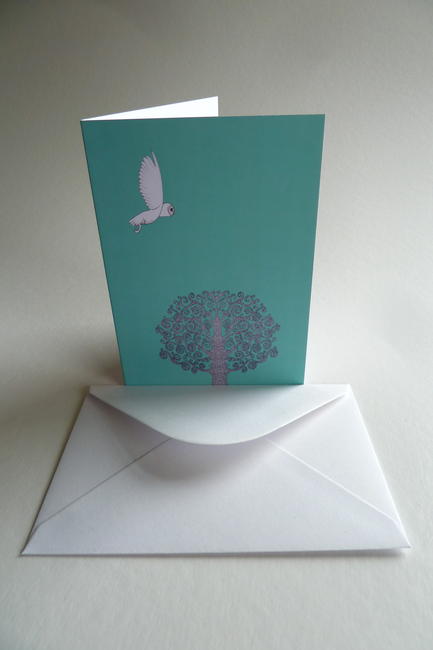 Barn Owl (T)
