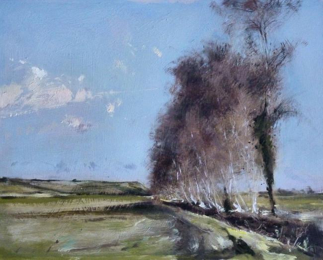 1093 January birches, Rother Valley Kent 8x10
