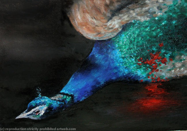 The Dead Peacock