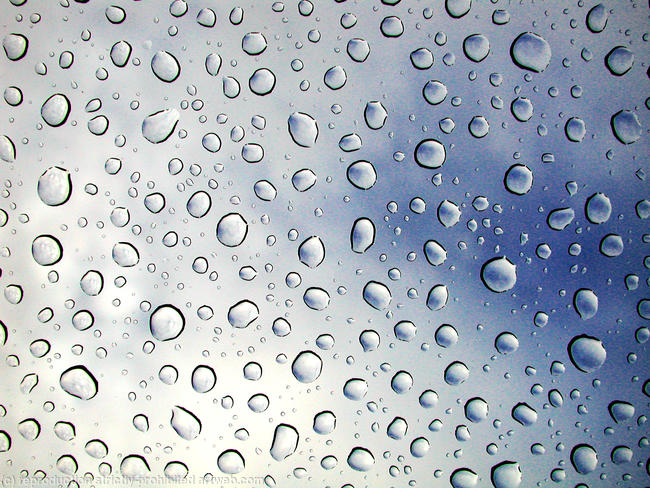 Raindrops