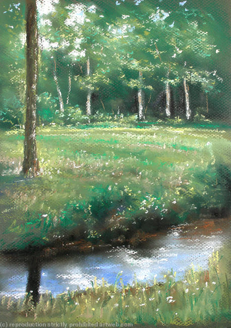 Woodland Brook