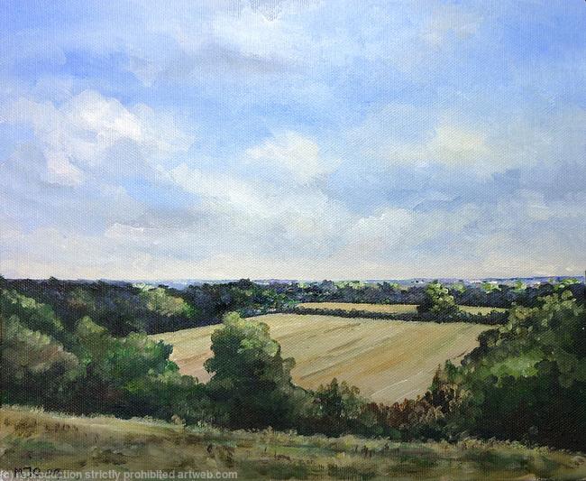 View from pit bank to rabbit lane