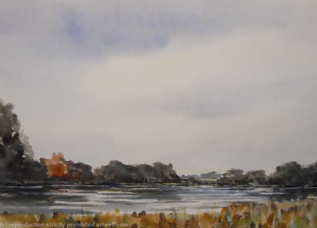 Coombe Lake (linley bank)