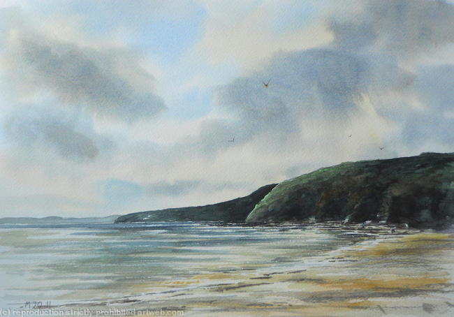 Clovelly Beach