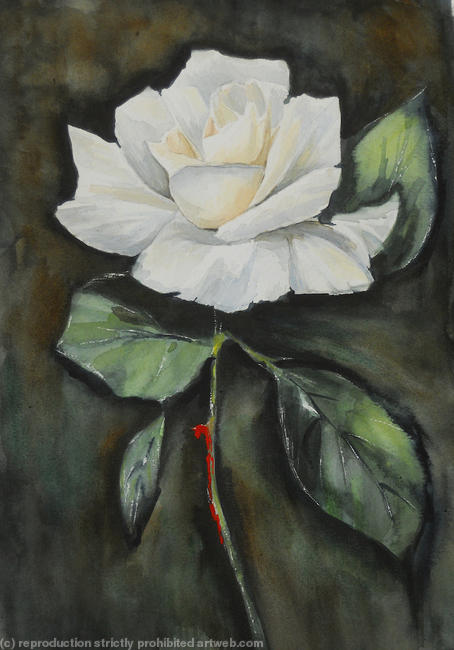 Blonde Rose