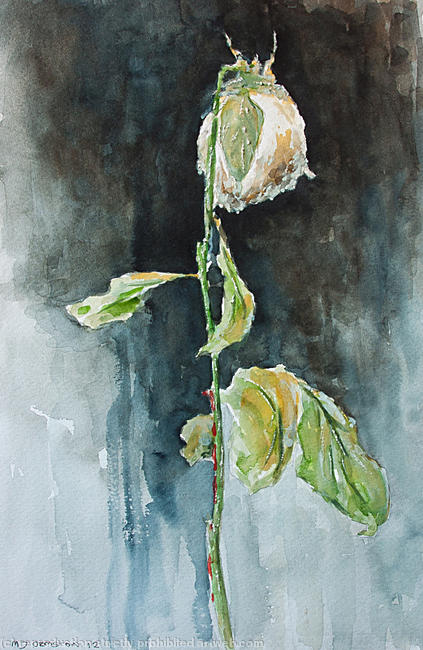 Dying Rose