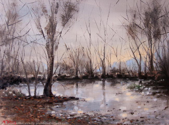 Frozen Pond