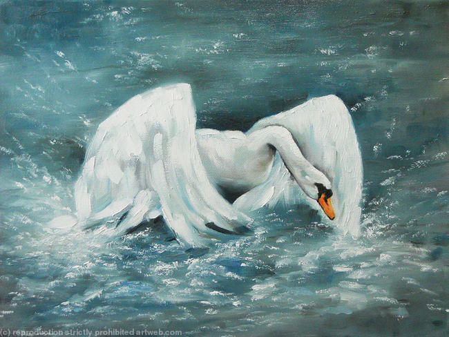 Splashing About