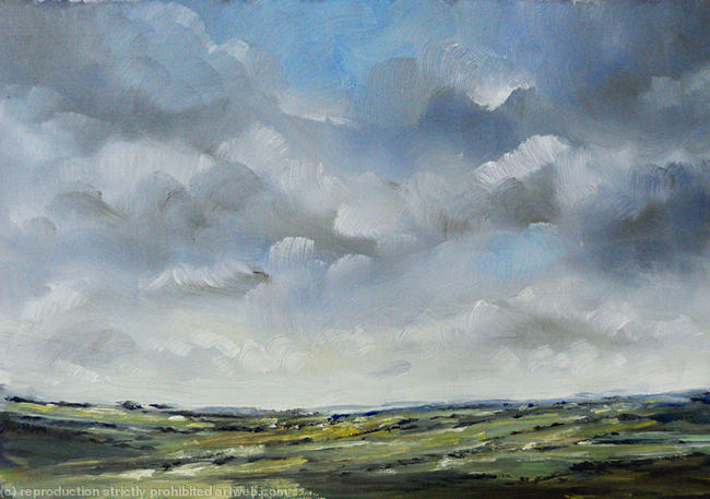 Winter landscape study