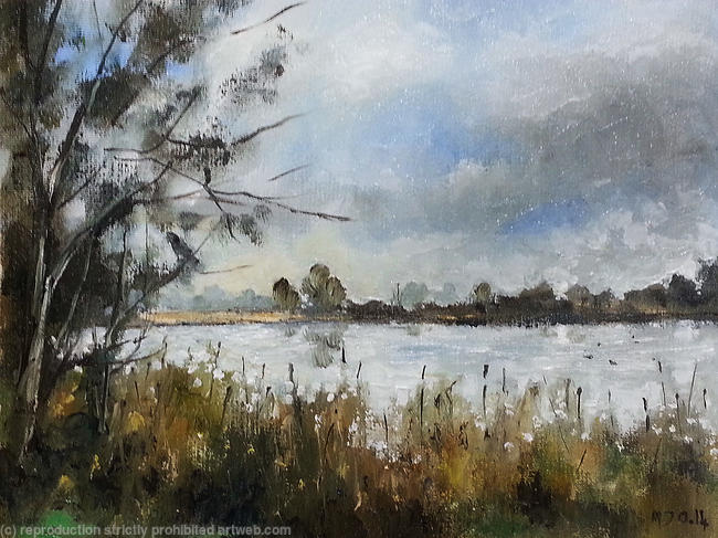 From the Hide (coombe lake)