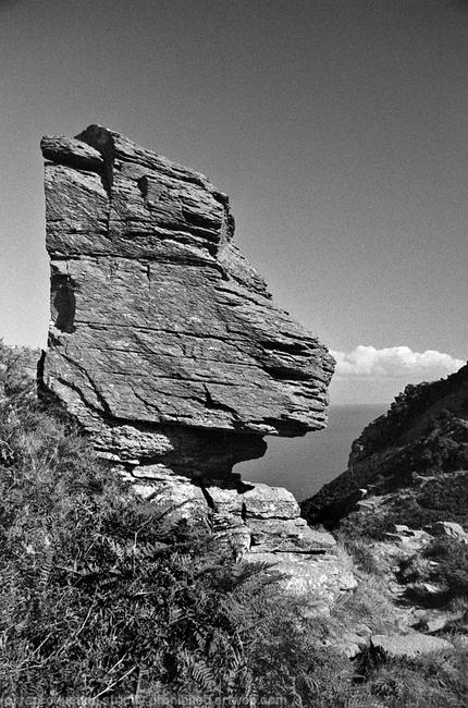 -15 9 Dog Rock