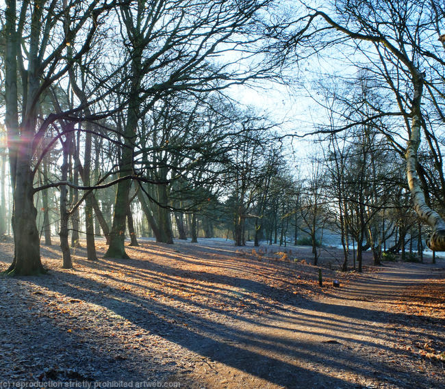 F011b Coombe Woods