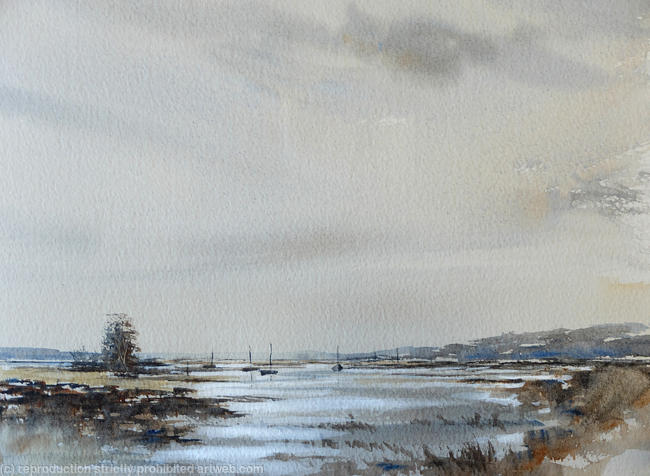 Marsh