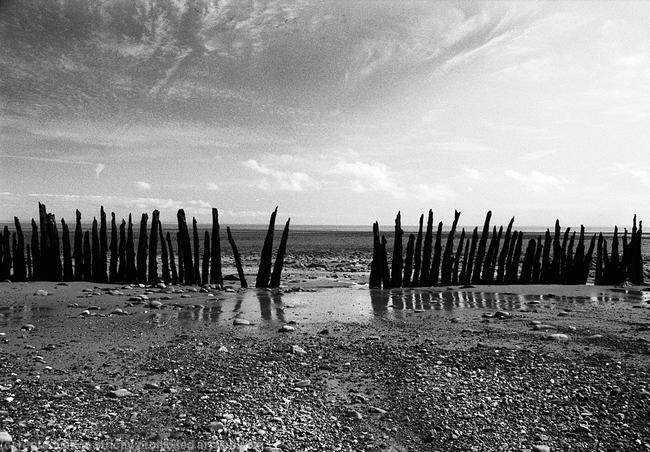 Sticks and Stones