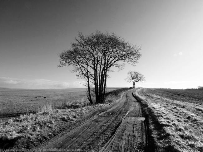 Its a long walk