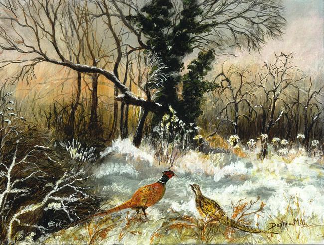 Pheasants in snow