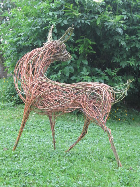 Red Deer