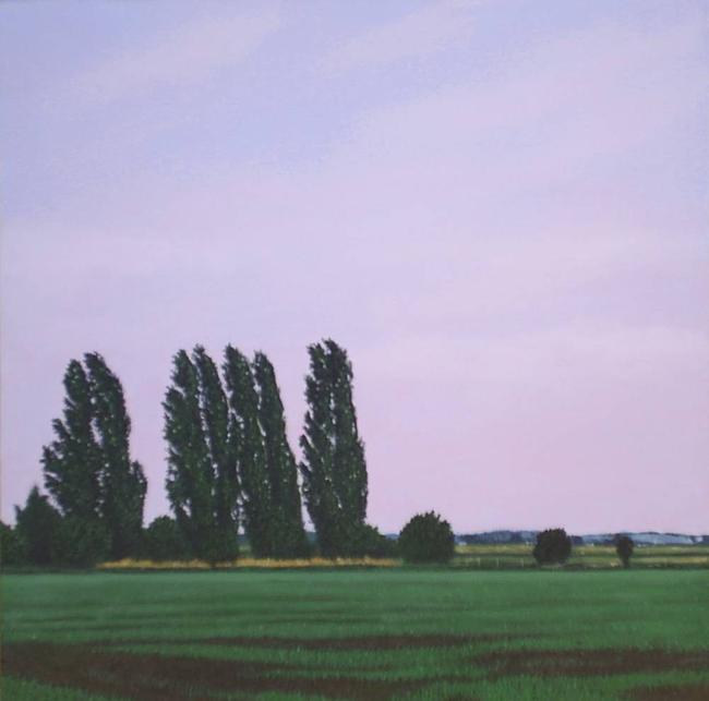 Poplars, Summer