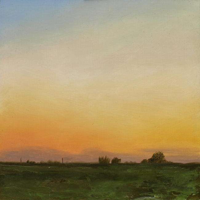 Fen Sunset