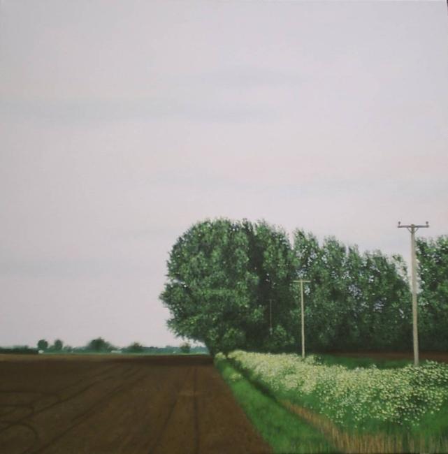 Early Summer Trees