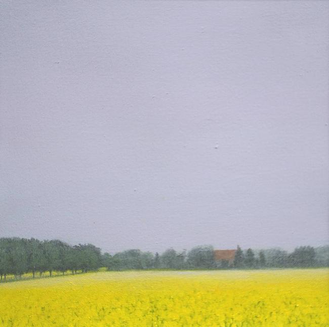 Early Morning Mist, Rape Field