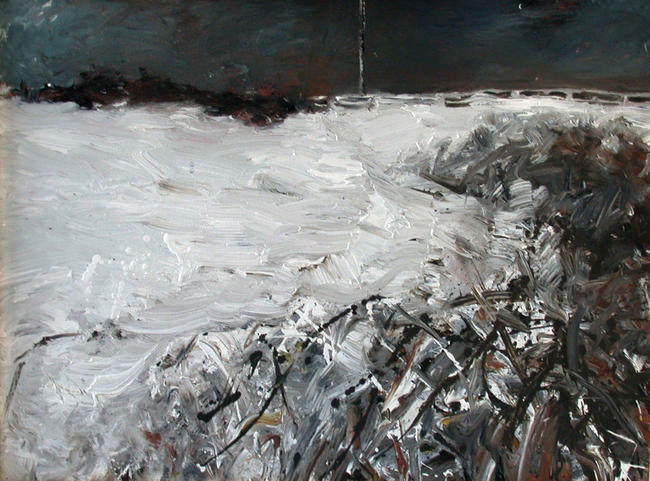 Snow Downs 2