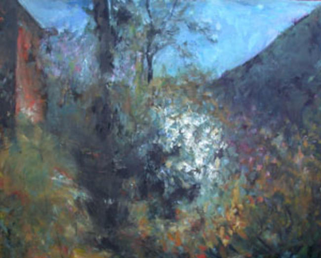 wilderness garden, Alpuharras
