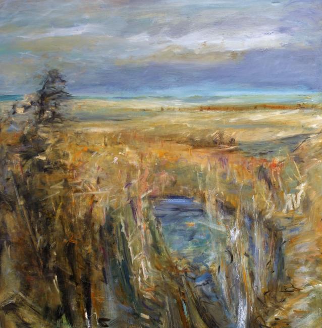 marshlands 2