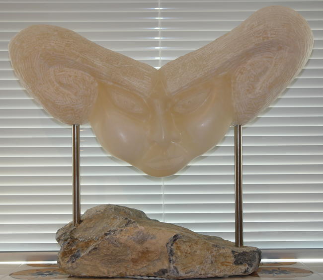 JANUS Front