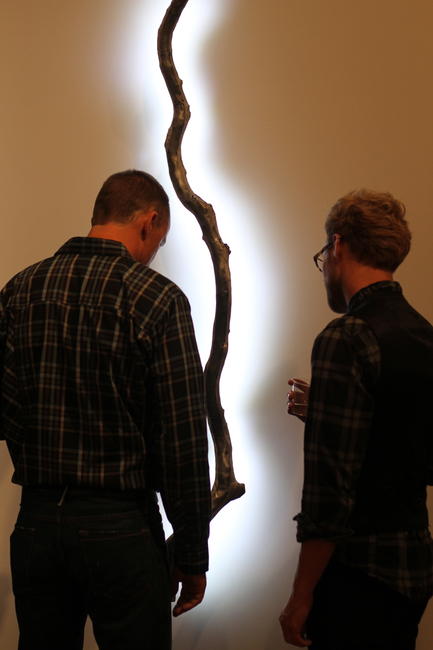 Looking at Light Branch