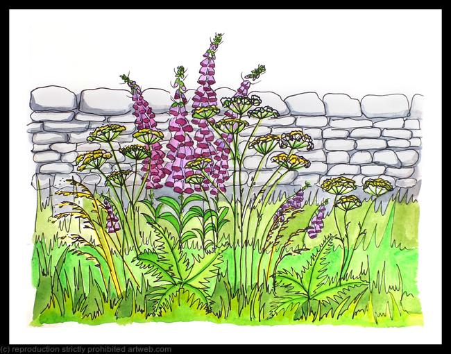 Foxgloves drawing