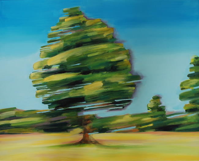 Tree at Coombe Hill
