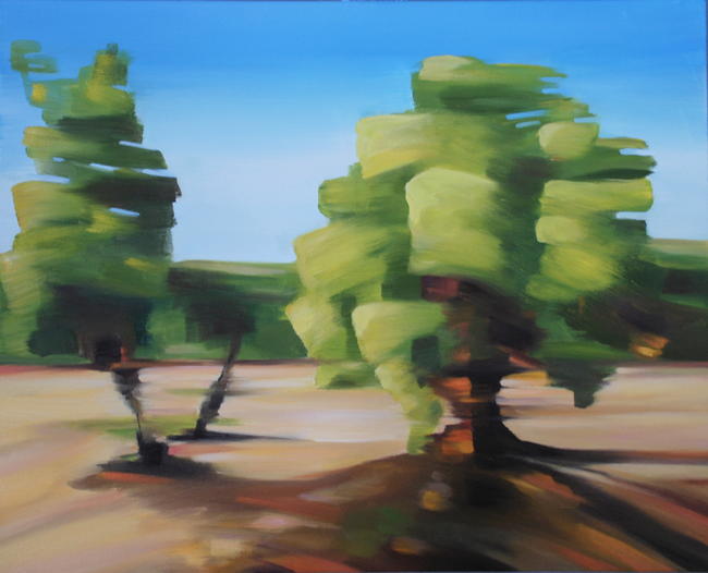 Trees in Yala