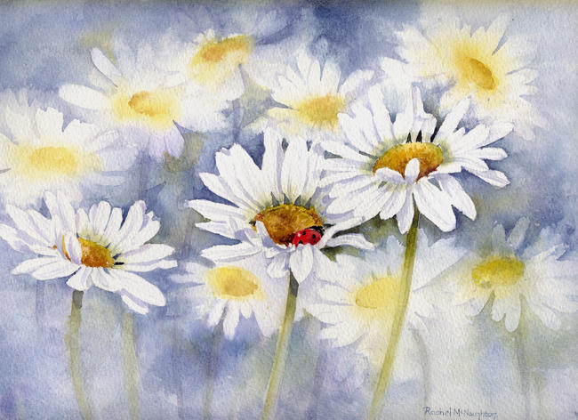 asleep-in-a-daisy