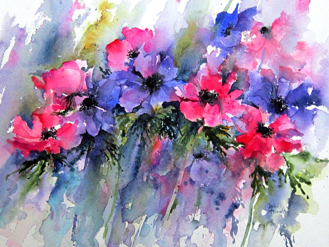 Splashy Anemones