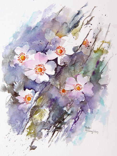 Dog Roses