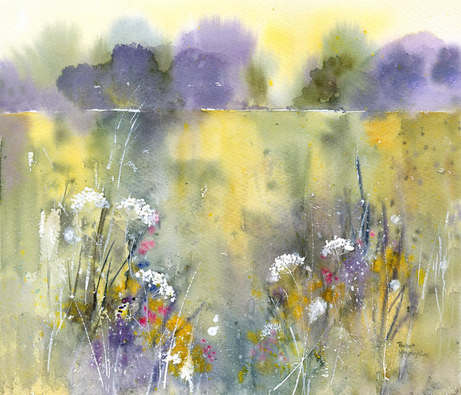 Summer Meadow