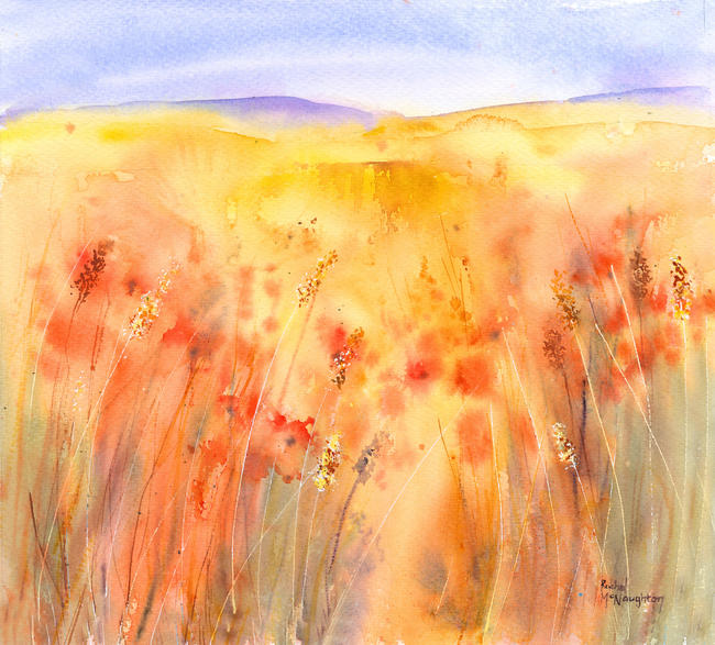 Harvest Meadow