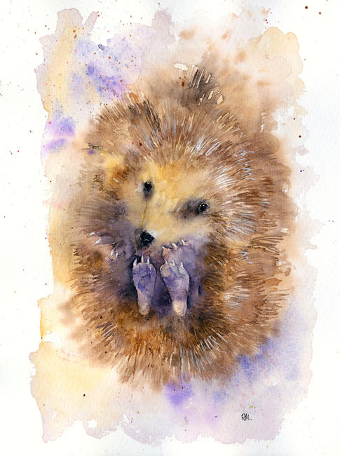 Stickly Prickly Hedgehog