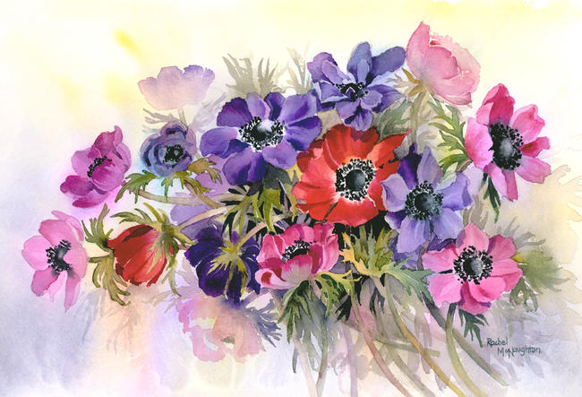 Anemones