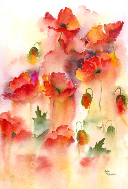 Misty Poppies