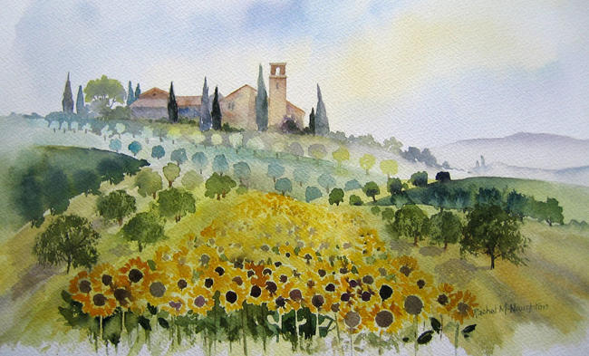 Sunflowers and Olive Groves