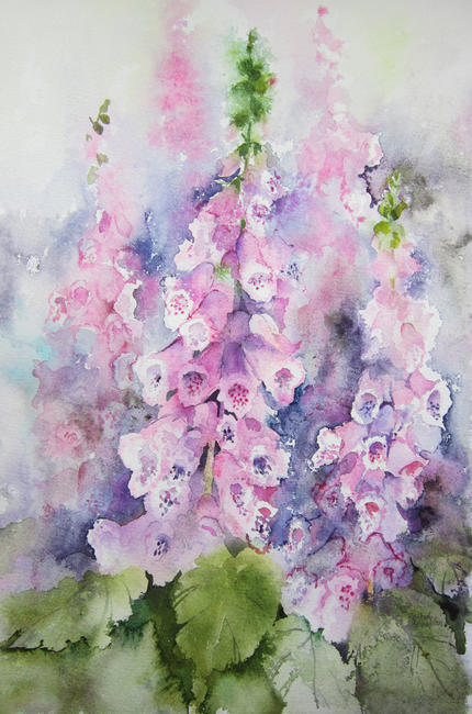 Foxgloves