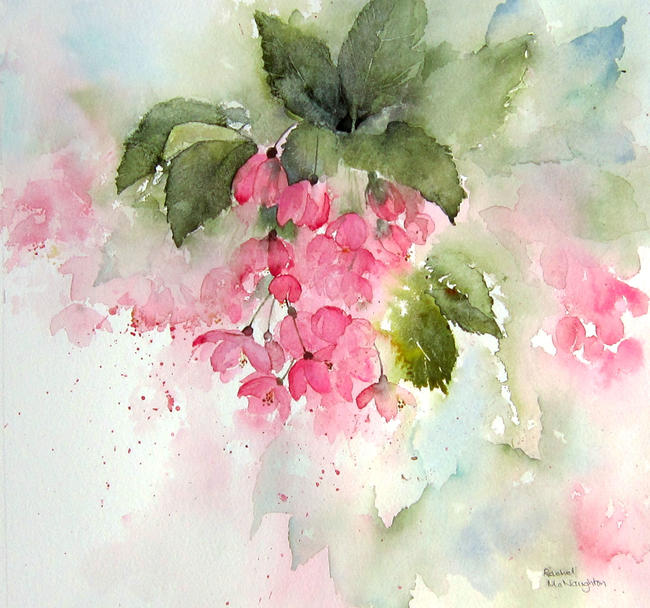 Pink Blossom