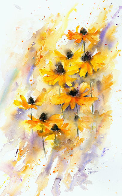 Rudbeckia Gold