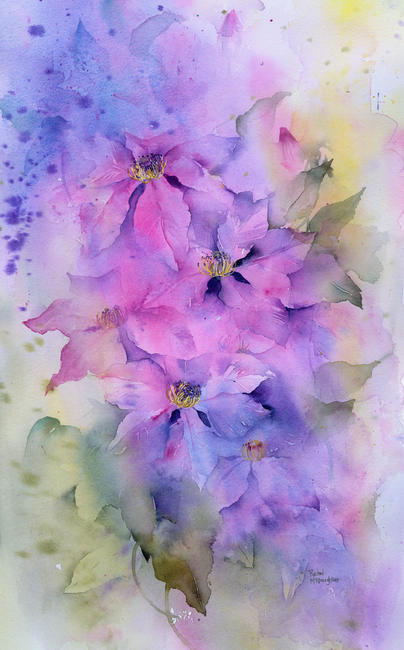 Clematis